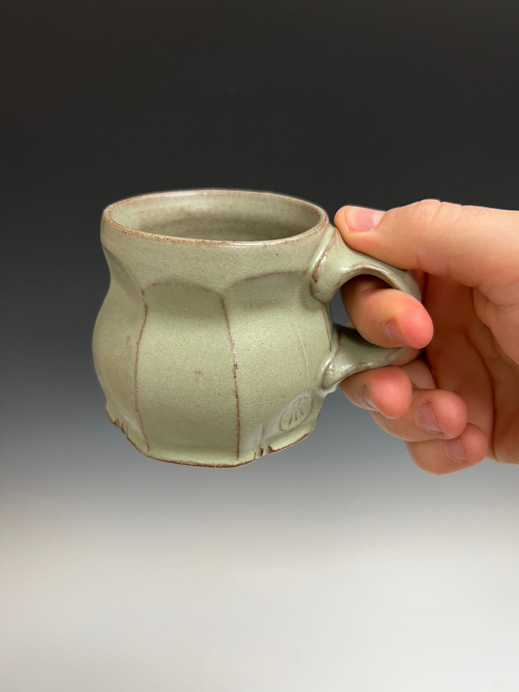 Sage Green Mug