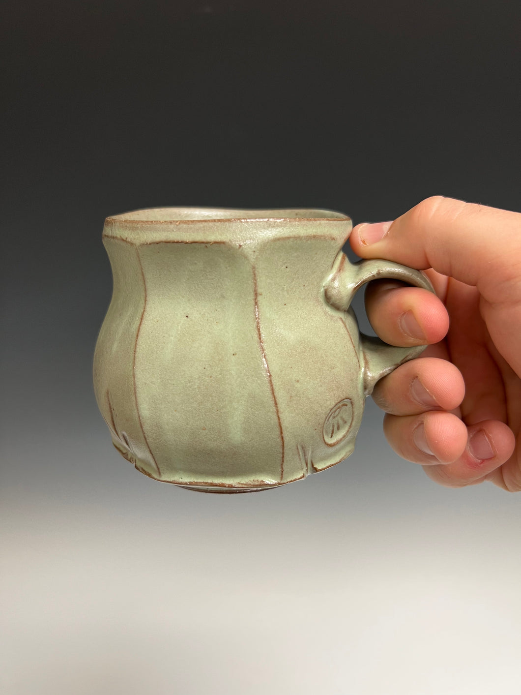 Sage Green Mug